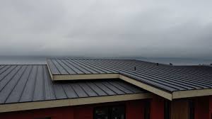 Best Green or Eco-Friendly Roofing Solutions  in Menomonie, WI